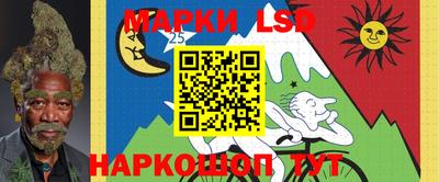 apvp Гагарин