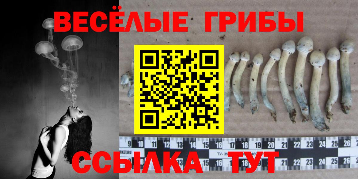 купить  сайты  Псилоцибиновые грибы мухоморы  Вход с VPN  Гурьевск 