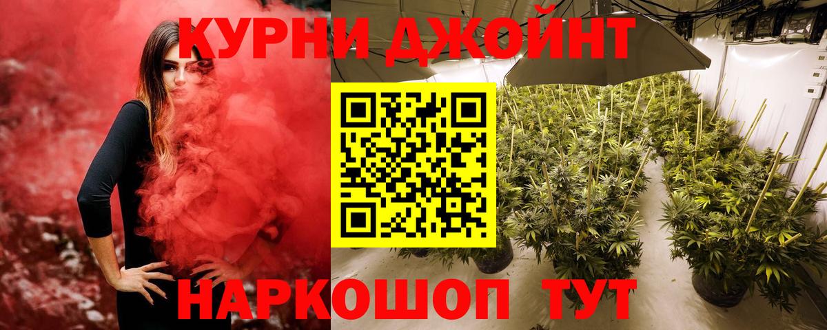 Марихуана план  Бошки Шишки семена  Бошки марихуана гибрид  Бошки марихуана LSD WEED  Гурьевск  Вход с VPN 